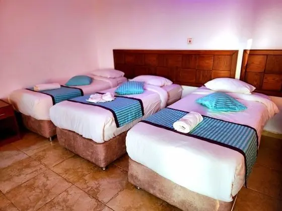 Deluxe Üç Kişilik Oda, 1 Yatak Odası, Havuz Manzaralı, Havuz Kenarı