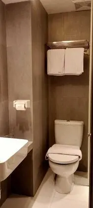 Superior Tek Büyük veya İki Ayrı Yataklı Oda