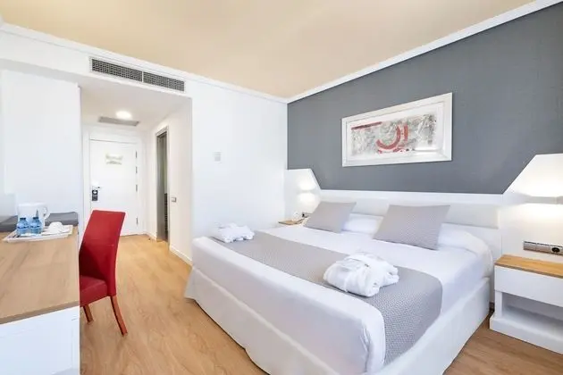 Executive Büyük Yataklı Tek Kişilik Oda (Spa access)