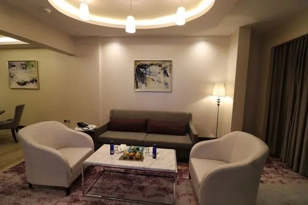 Business Süit, 1 Yatak Odası, Sigara İçilebilir, Şehir Manzaralı