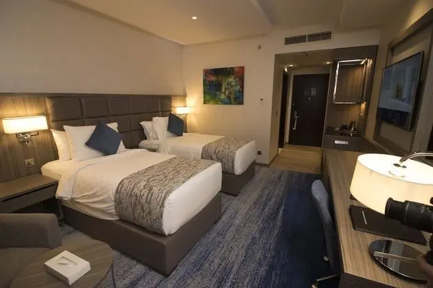 Deluxe Oda, 1 Yatak Odası, Sigara İçilebilir, Şehir Manzaralı