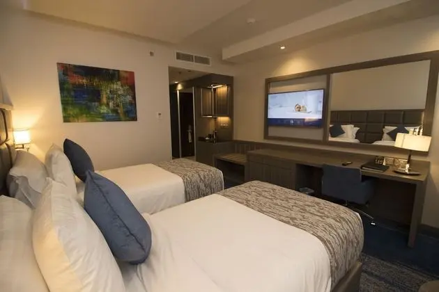 Deluxe Oda, 1 Yatak Odası, Sigara İçilebilir, Şehir Manzaralı