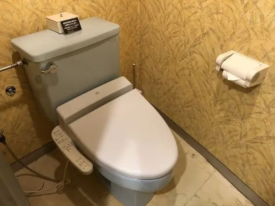 Deluxe Oda, 1 Çift Kişilik Yatak, Sigara İçilmez