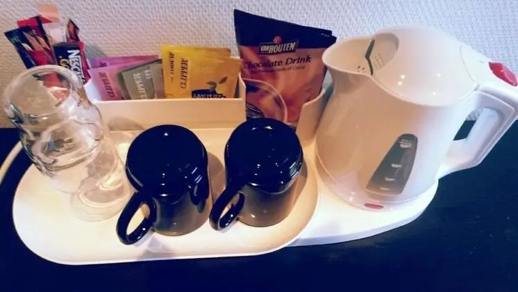 Standard Tek Büyük veya İki Ayrı Yataklı Oda, Nehir Manzaralı