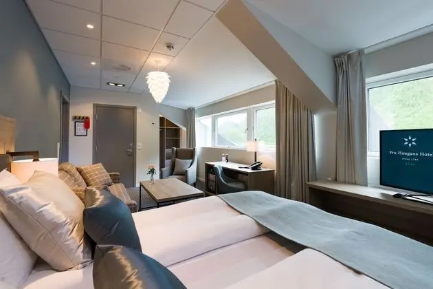 Superior Tek Büyük Yataklı Oda