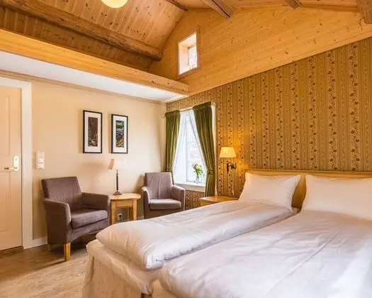 Superior Tek Büyük Yataklı Oda