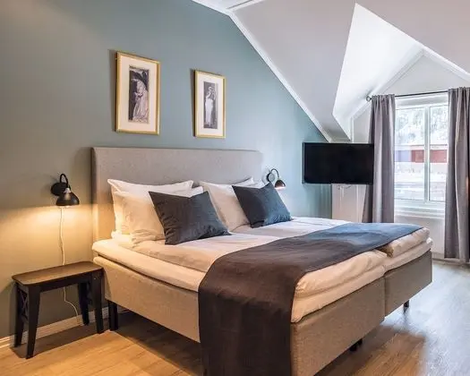 Superior Tek Büyük Yataklı Oda