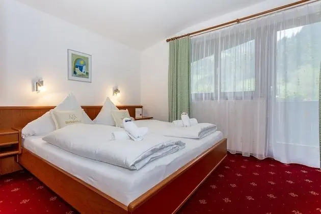 Comfort Daire, 2 Yatak Odası, Balkon, Dağ Manzaralı (Birkenblatt)