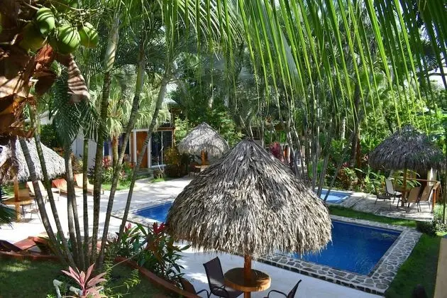 Standard Tek Büyük Yataklı Oda, Havuz Manzaralı