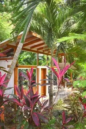 Süit, 2 Büyük (Queen) Boy Yatak, Mutfak, Bahçe Manzaralı