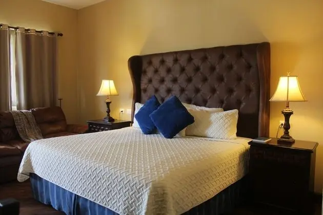 Deluxe Tek Kişilik Oda, 1 En Büyük (King) Boy Yatak, Sigara İçilmez, Bahçe Manzaralı