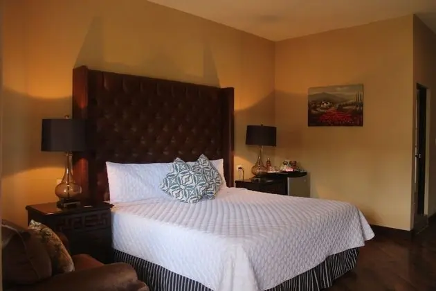 Deluxe Tek Kişilik Oda, 1 En Büyük (King) Boy Yatak, Sigara İçilmez, Bahçe Manzaralı