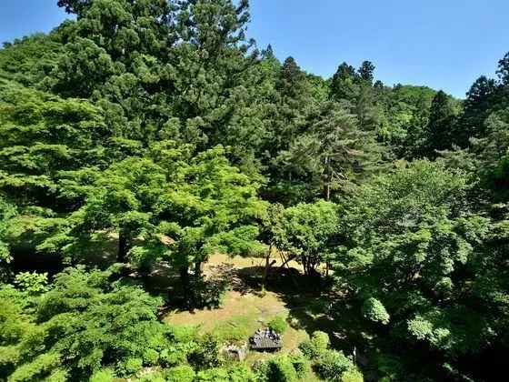 Standard Oda, Japon Şiltesi