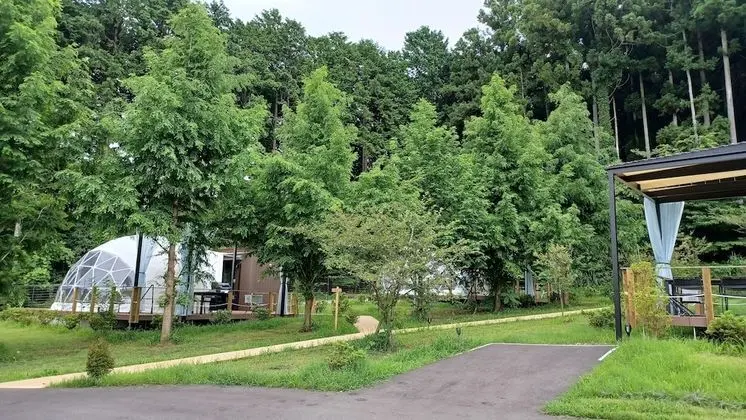 Çadır, Sigara İçilmez (GLAMPING DOME)