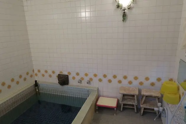 Traditional Oda, Okyanus Manzaralı (Japanese-Style, Private Bathroom)