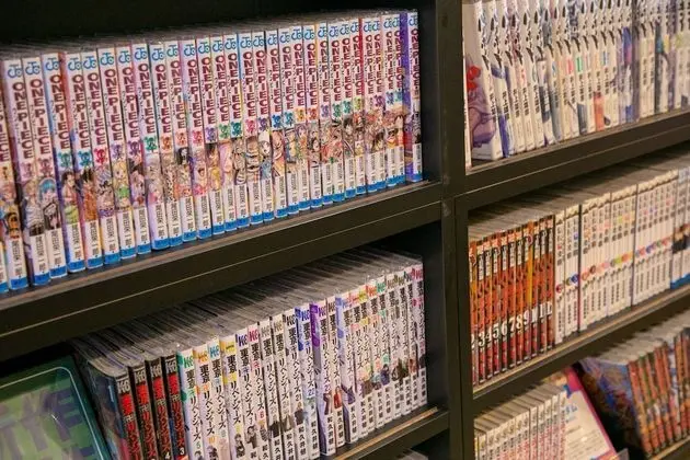 Tek Büyük Yataklı Oda, 1 Tek Kişilik XL Yatak, Sigara İçilmez (Small)