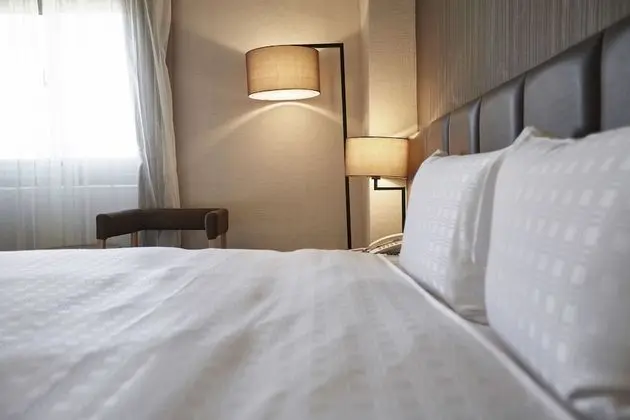 Basic Oda, 1 Çift Kişilik Yatak, Şehir Manzaralı