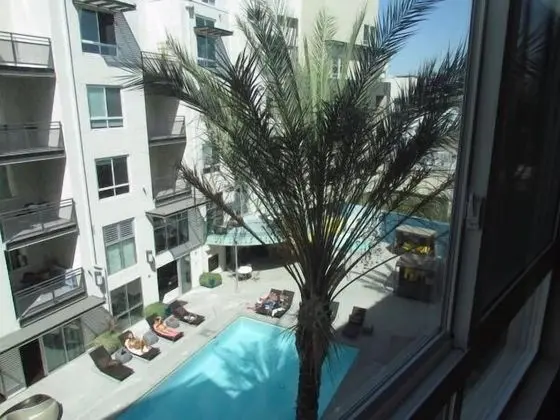 Exclusive Tek Kişilik Oda, Havuz Manzaralı