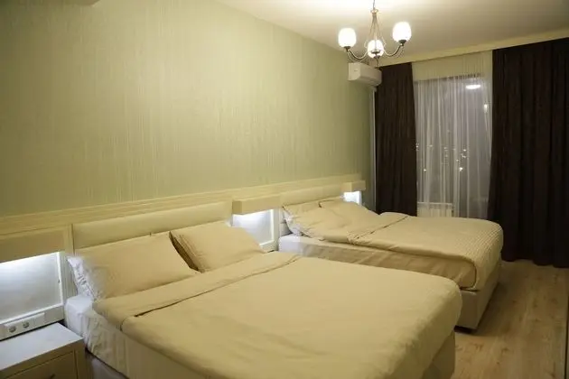 Deluxe Apart Daire, 1 Yatak Odası, Şehir Manzaralı (9-01)