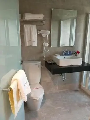 Deluxe Tek Büyük Yataklı Oda (102)