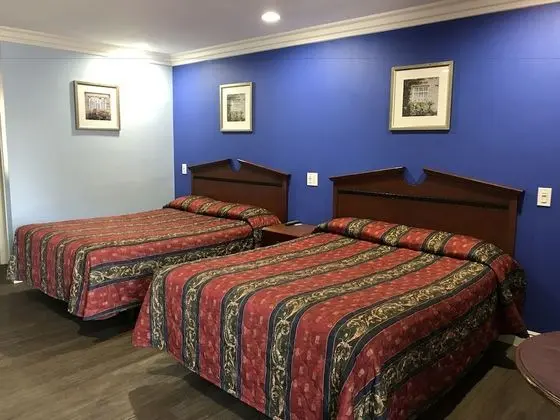 Standard Tek Kişilik Oda, 2 Büyük (Queen) Boy Yatak, Avlu Manzaralı