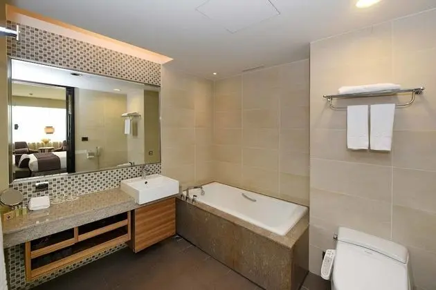 Deluxe Tek Büyük Yataklı Oda