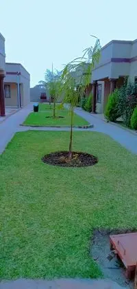 Apart Daire, 3 Yatak Odası, Balkon