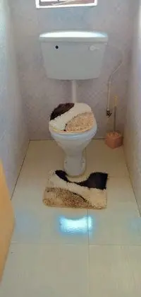 Banyo imkân ve özellikleri