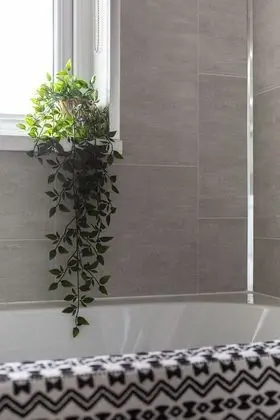 Ev, Özel Banyo, Şehir Manzaralı