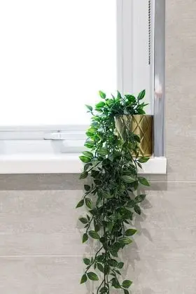 Ev, Özel Banyo, Şehir Manzaralı