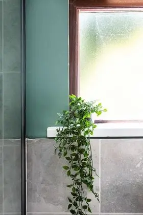 Ev, Özel Banyo