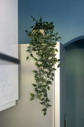 Ev, Özel Banyo