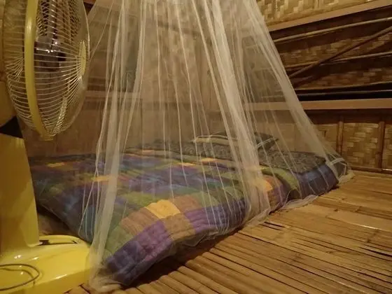 Bamboo House