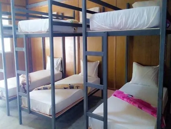 Dört Kişilik Oda (Mixed Dorm)