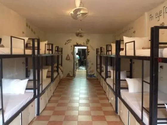 16-Bed Mixed Dormitory