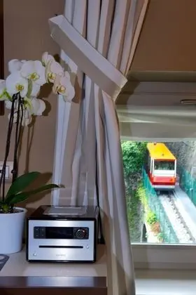 Superior Tek Büyük veya İki Ayrı Yataklı Oda