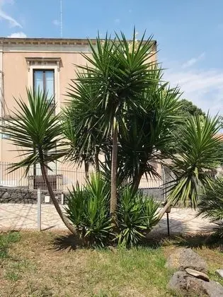 Çatı Katı (Loft), 1 Yatak Odası, Şömine