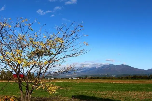Panoramic Kır Evi, Dağ Manzaralı