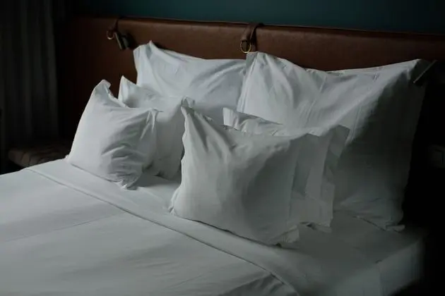 Superior Tek Büyük Yataklı Oda, Havuz Kullanımı (Adults Only)