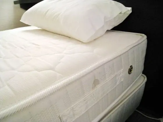 Deluxe İki Ayrı Yataklı Oda, Sigara İçilebilir