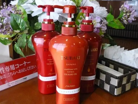 Deluxe İki Ayrı Yataklı Oda, Sigara İçilebilir