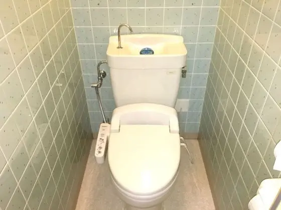 Deluxe İki Ayrı Yataklı Oda, Sigara İçilebilir