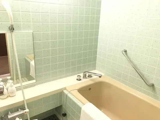 Deluxe İki Ayrı Yataklı Oda, Sigara İçilebilir