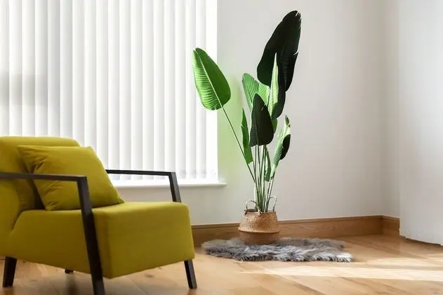 Standard Apart Daire, 1 Yatak Odası, Şehir Manzaralı