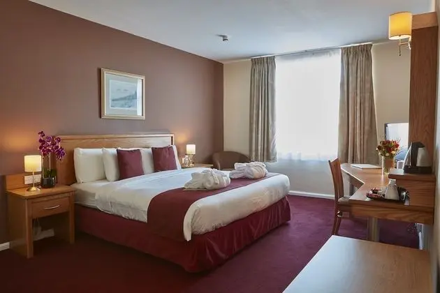 King Suite, 1 King Bed & Lounge with Sofa Bed
