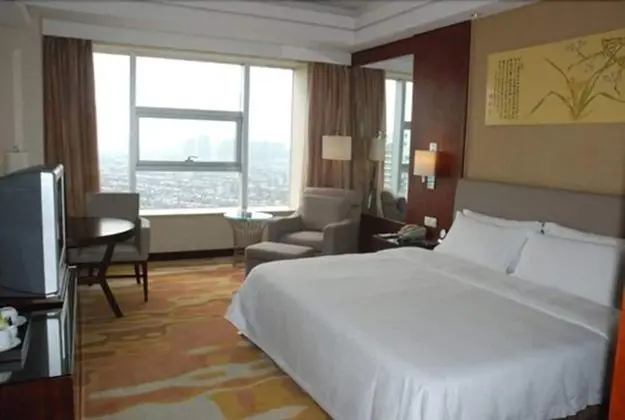 Standard Oda, 1 En Büyük (King) Boy Yatak, Şehir Manzaralı