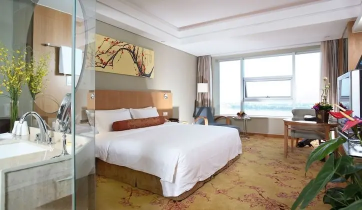 Standard Oda, 1 En Büyük (King) Boy Yatak, Şehir Manzaralı