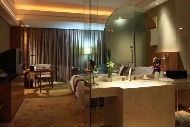 Standard Oda, 1 En Büyük (King) Boy Yatak, Şehir Manzaralı