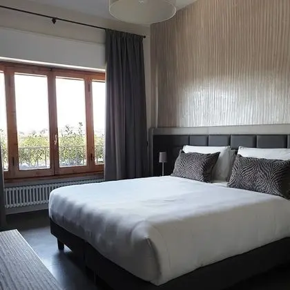 Superior Tek Büyük veya İki Ayrı Yataklı Oda