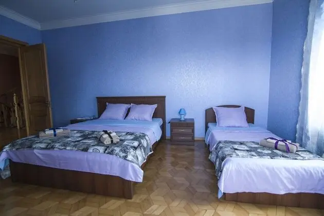 Economy Üç Kişilik Oda, Birden Çok Yatak, Sigara İçilmez, Şehir Manzaralı